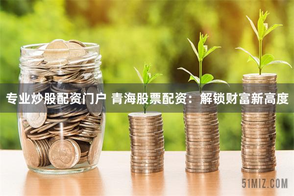 专业炒股配资门户 青海股票配资：解锁财富新高度
