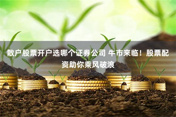 散户股票开户选哪个证券公司 牛市来临！股票配资助你乘风破浪