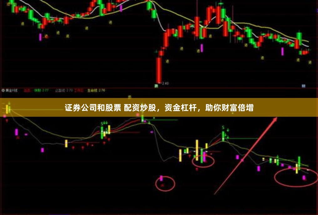 证券公司和股票 配资炒股,资金杠杆,助你财富倍增