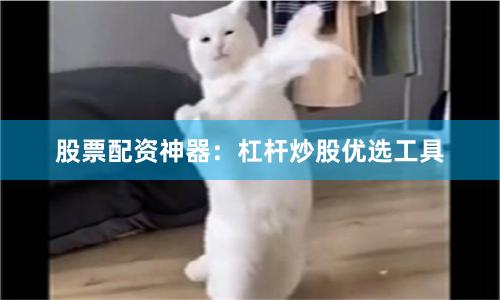 股票配资神器:杠杆炒股优选工具