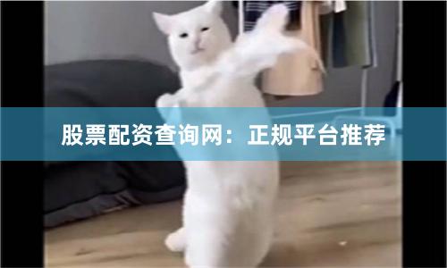 股票配资查询网：正规平台推荐